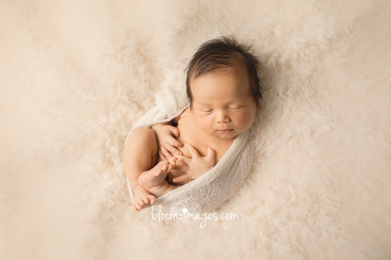 Newborn Photography Washington DC