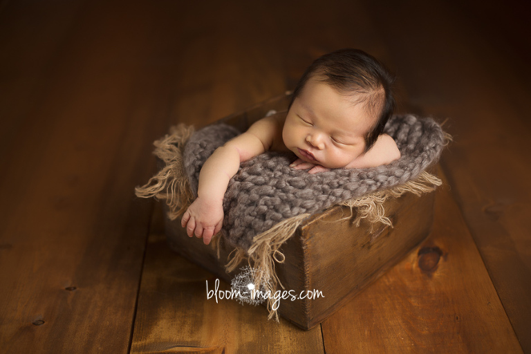 Newborn Photography Washington DC