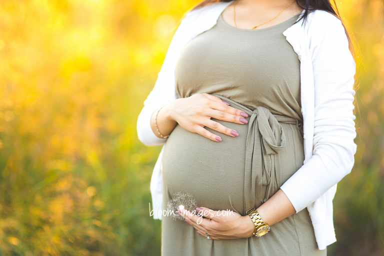 Maternity Photographer Washington DC