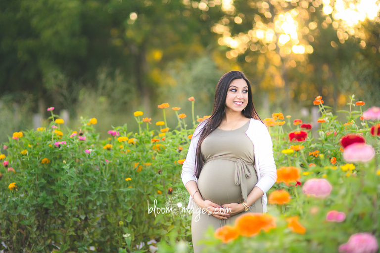 Maternity Photographer Washington DC