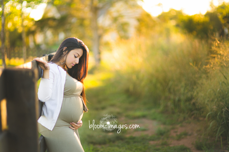 Maternity Photographer Washington DC