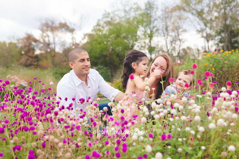 Baby and Family Photography in Northern VA and Washington DC by Bloom Images