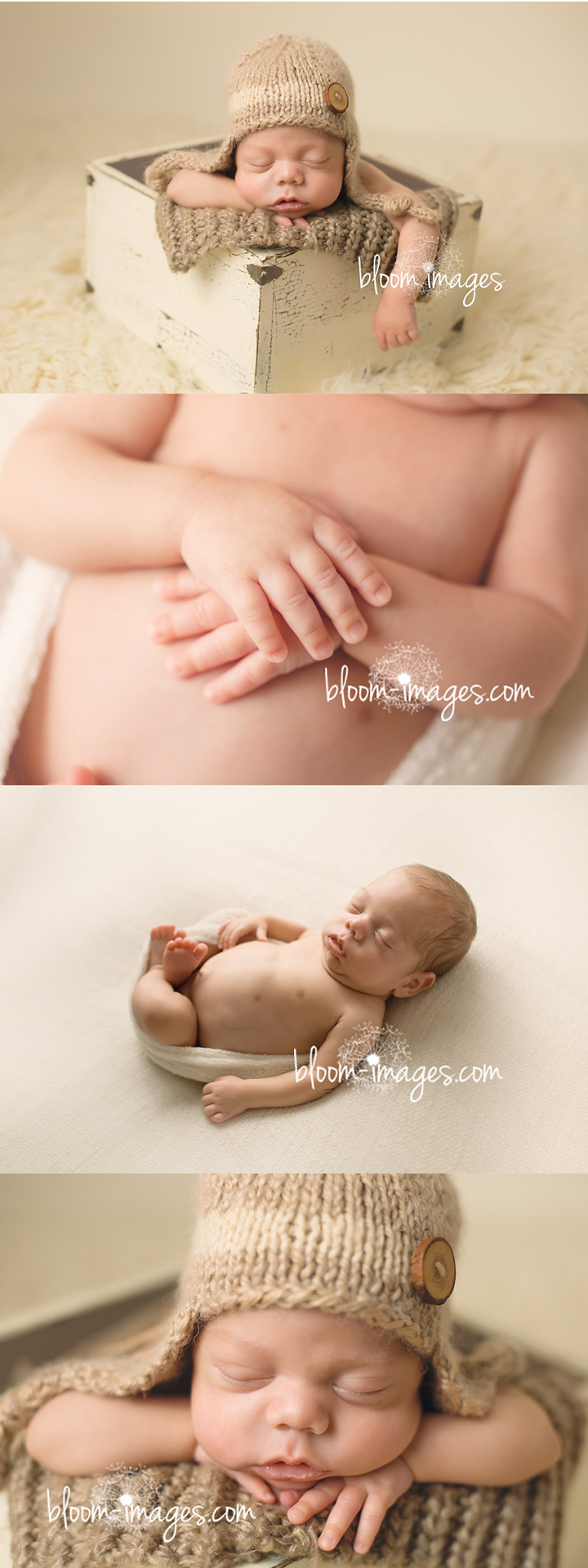 Loudoun County Newborn Photographer VA