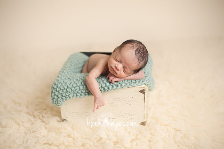 Newborn Photography in Northern Virginia infant pictures