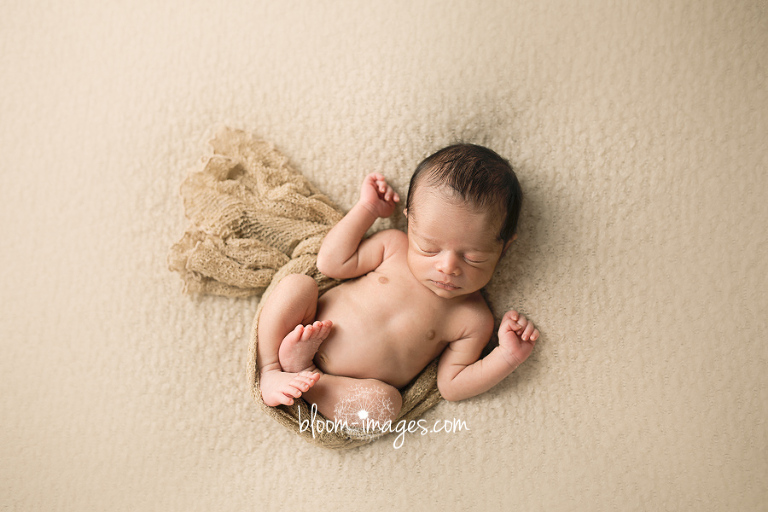 Newborn Photography Session in Northern Virginia baby curled up