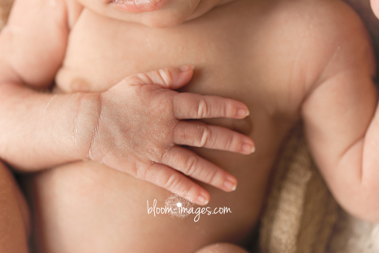 Newborn Photography in Northern Virginia baby hand close up