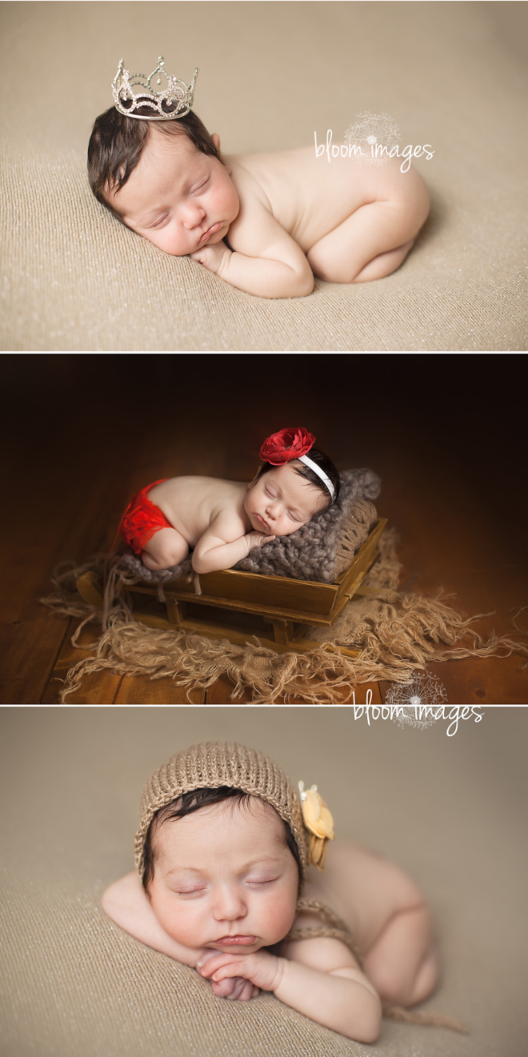 Fairfax county newborn photographer infant baby studio session