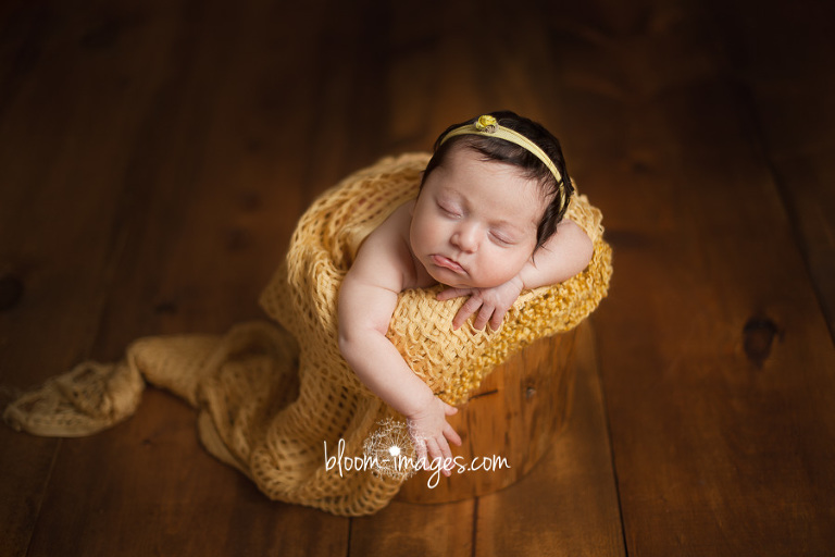 Fairfax county newborn photographer infant baby in basket