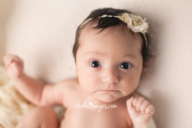 Newborn photography in Fairfax county VA baby face
