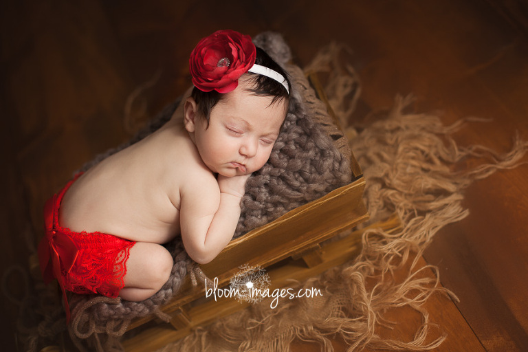 Newborn baby photography in Northern VA baby in sleigh