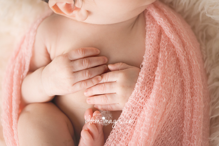 Newborn baby photography in Northern VA baby hands