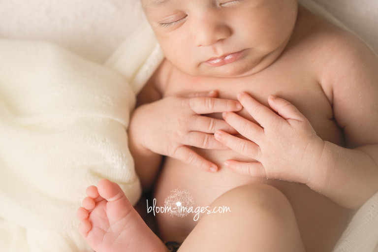 Newborn Baby Photography in Washington DC and Northern VA hands close up