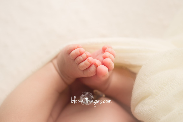 Newborn Baby Photography in Washington DC and Northern VA feet close up