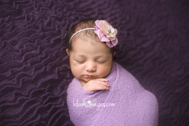 Newborn Baby Photography in Washington DC and Northern VA wrapped in purple
