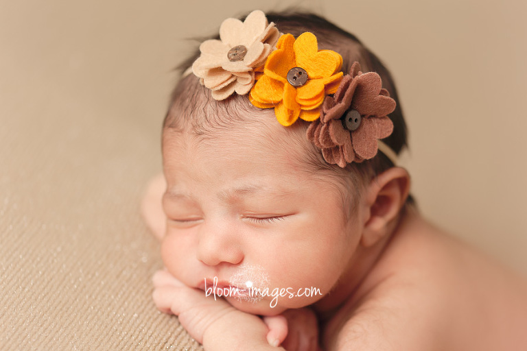 Newborn Baby Photography in Washington DC and Northern VA face close up