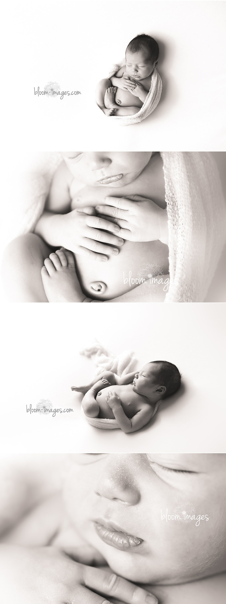 Newborn baby pictures in Northern VA b&w portraits