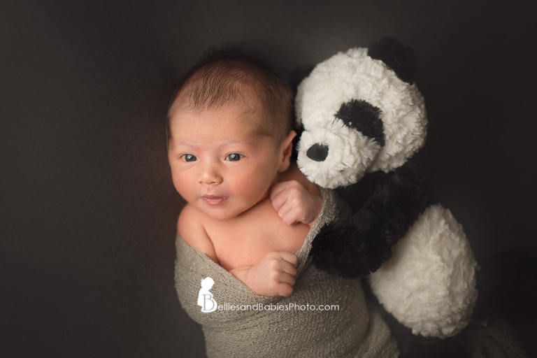 Newborn pictures in Northern VA baby with panda bear