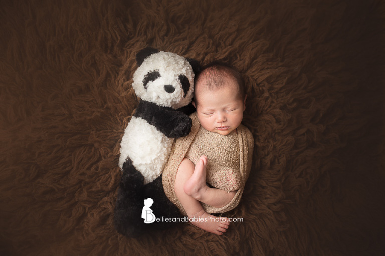 Newborn baby pictures in Northern VA baby with bear