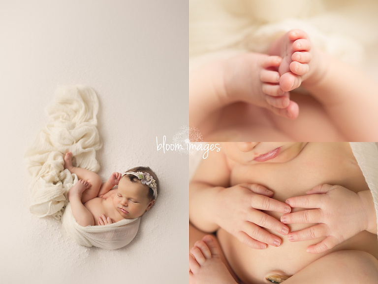 Leesburg VA Newborn Photographer Northern VA Family Photography