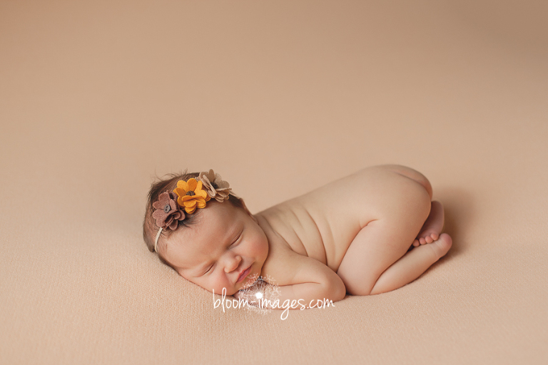 Leesburg VA Newborn Photographer Northern VA Family Photography