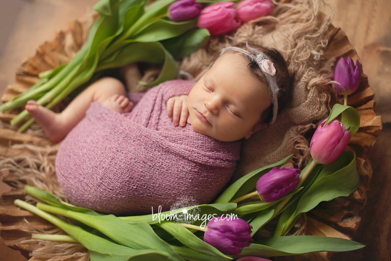 Leesburg VA Newborn Photographer Northern VA Family Photography