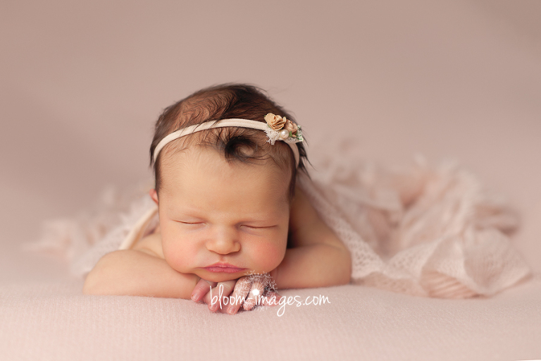 Leesburg VA Newborn Photographer Northern VA Family Photography