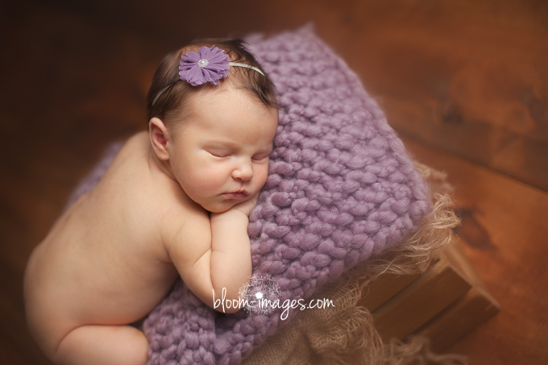 Leesburg VA Newborn Photographer Northern VA Family Photography