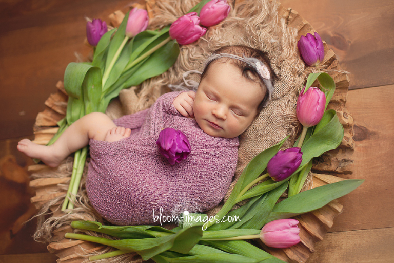 Leesburg VA Newborn Photographer Northern VA Family Photography baby in flowers