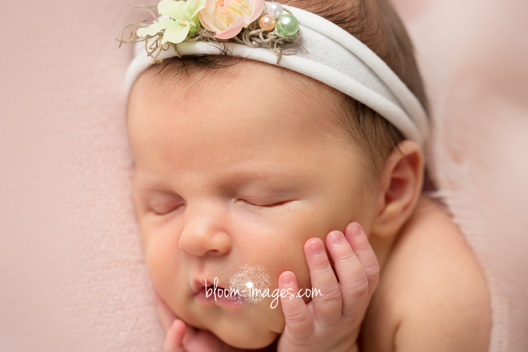 Leesburg VA Newborn Photographer Northern VA Family Photography