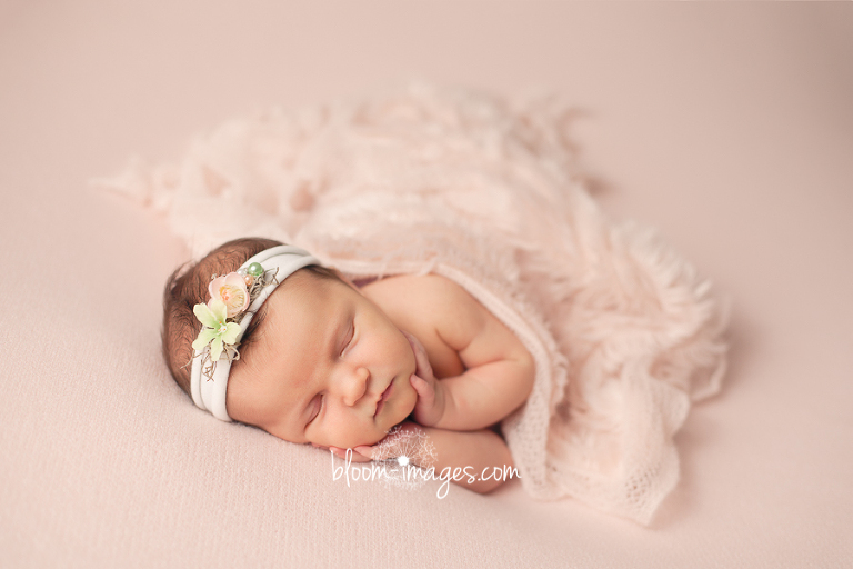 Leesburg VA Newborn Photographer Northern VA Family Photography