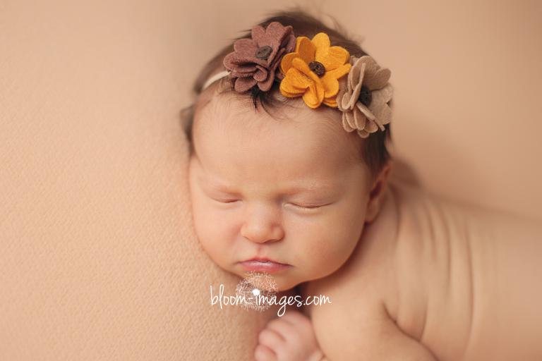 Leesburg VA Newborn Photographer Northern VA Family Photography