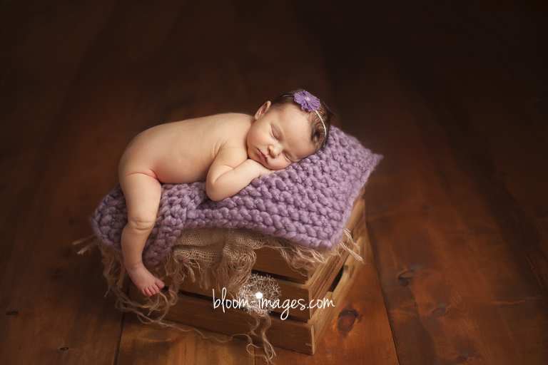 Leesburg VA Newborn Photographer Northern VA Family Photography