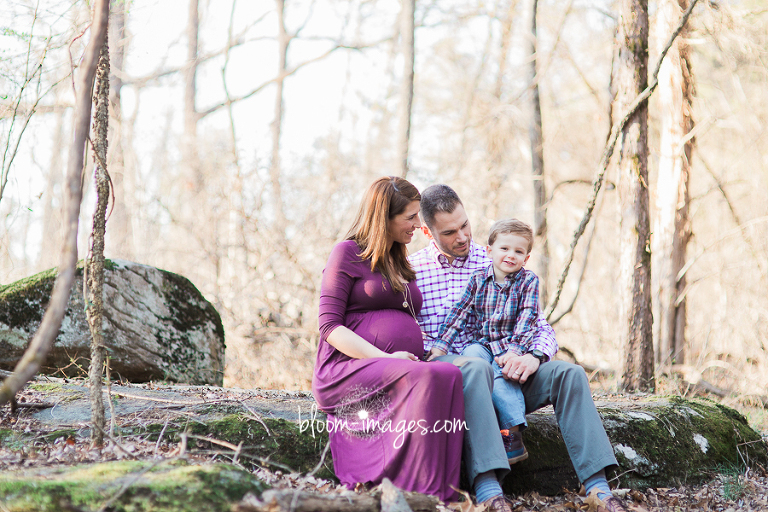 Maternity Photography in Washington DC and Northern VA area