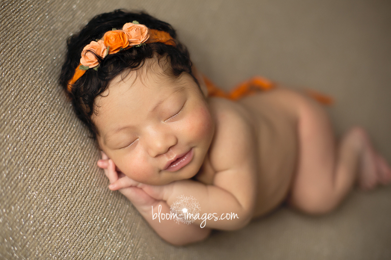 Newborn Photography Northern VA Newborn Baby Posed portrait