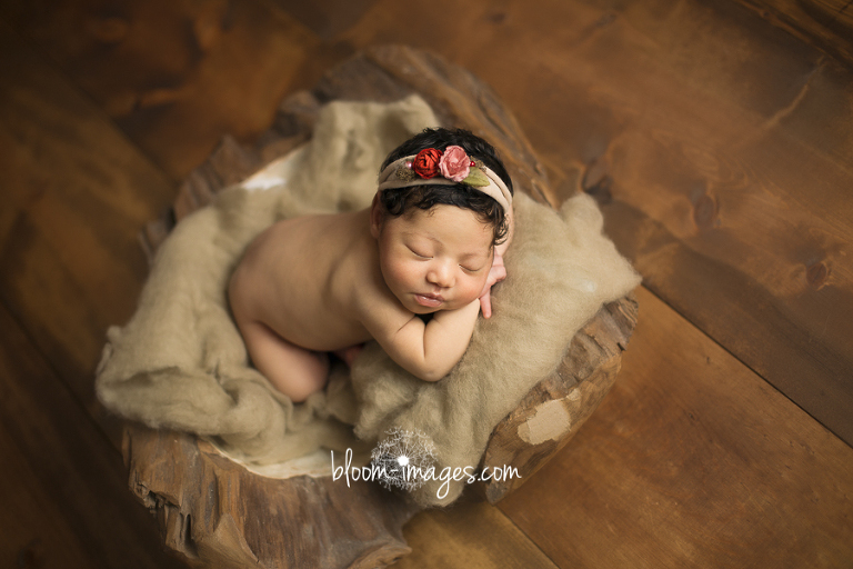 Newborn Photography Northern Virginia Baby in Bowl