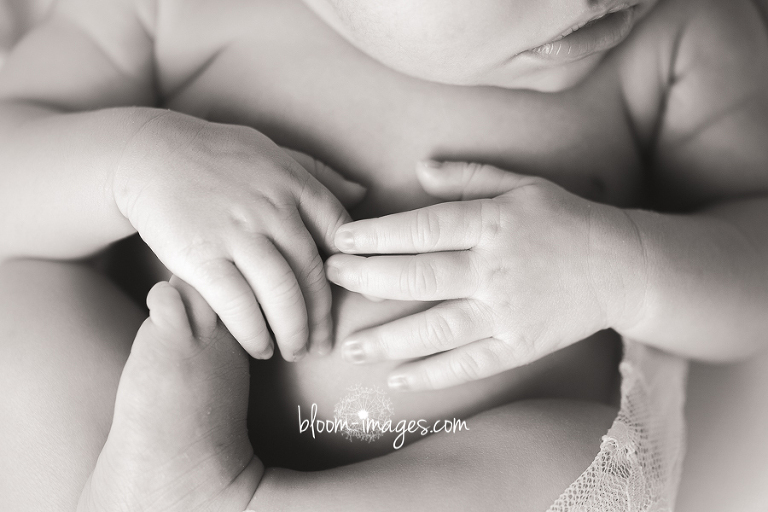 Newborn Photography Washington DC baby hands