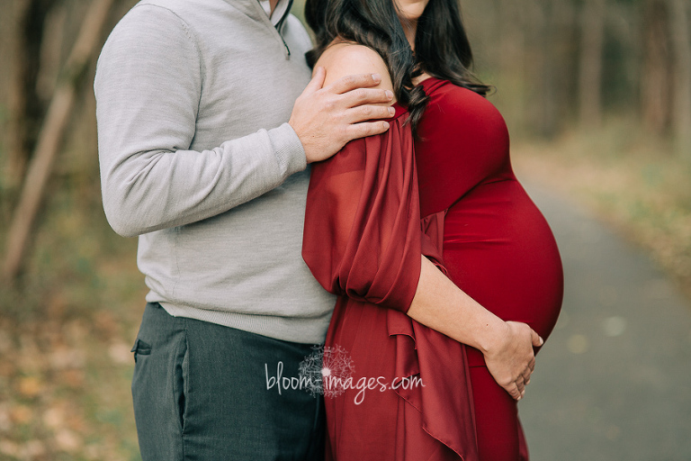 Pregnancy photo in Ashburn Northern VA